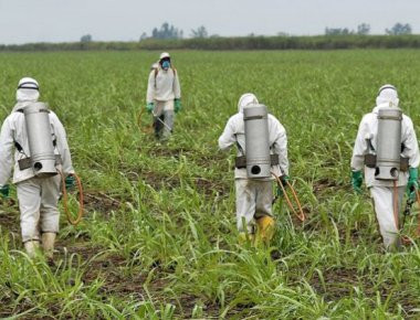 Περίεργη απόφαση του Ευρωπαϊκού Οργανισμού Χημικών Προϊόντων: Eδωσε συγχωροχάρτι στη Monsanto για το ζιζανιοκτόνο!